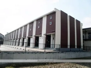 デルニエドミールの画像