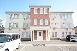 ドルフィンの画像