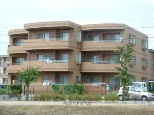 ソル デ パティオの画像