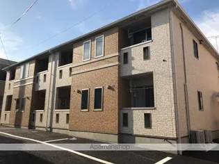 サンセベリアIIIの画像