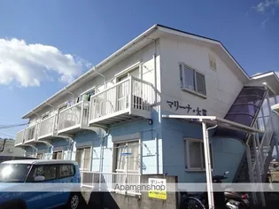 マリーナ大貫の画像