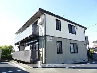 エバーグリーンの画像