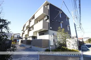 コスモスAの画像
