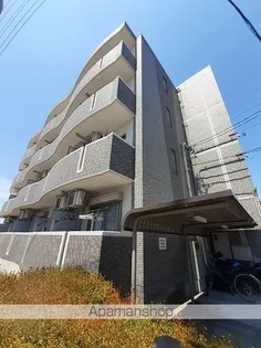 プラシードカーサの画像