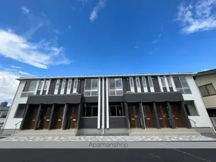 グレース ライラの画像