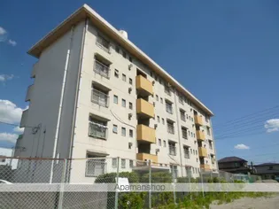 アネックス楠50の画像