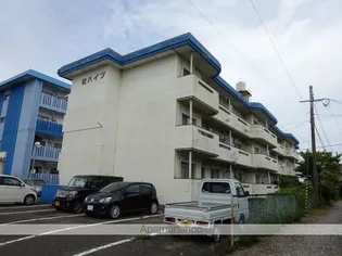 桂ハイツ【103号室】の外観