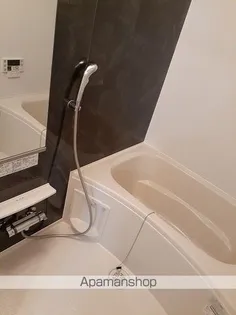 パールリバー アイランド2号館【1階】の風呂