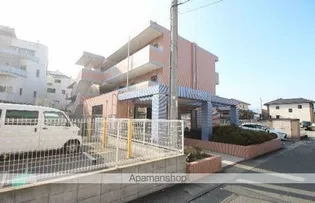 パームツリー野芥の画像