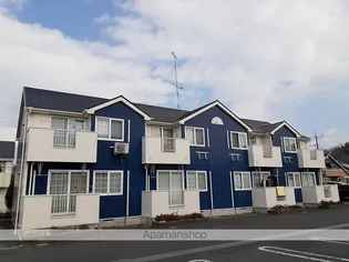 シャルマンKの画像