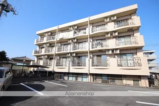 エクセレント緑の画像