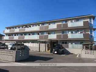 マーレの画像