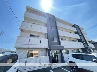 STELLA石川の画像