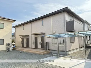 ソレイユ光の画像