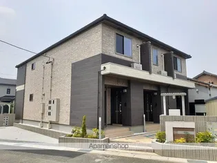 ミルティーユの画像