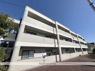 ジェントリーT M Yの画像