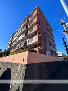 フジビューMⅢの画像