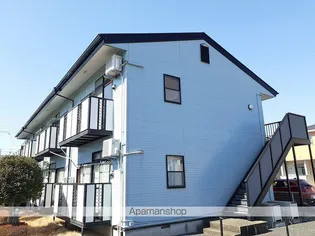 セカンドコアラの画像