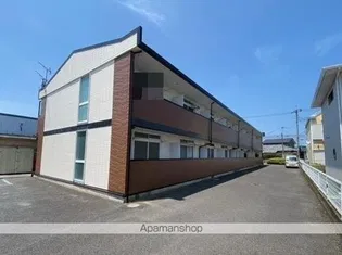 サンフラワーの画像