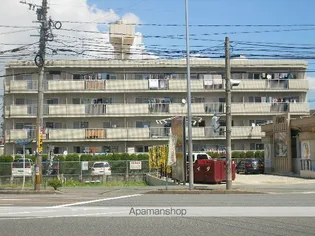 エクセルN86の画像