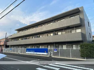 ソシア稲馬の画像