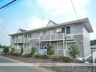 コンフィデンスヒルの画像