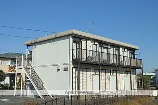 アスターAの画像