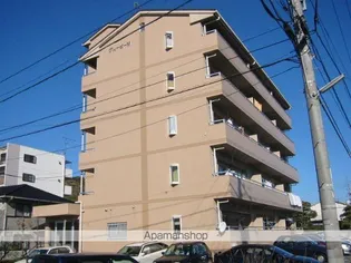 グルービーMの画像