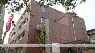 アルボル リオ XIの画像