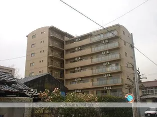 ライジングヴィラ葵【4階】の外観