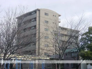 ライジングヴィラ葵【5階】の外観