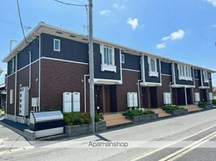 シャンダムールの画像