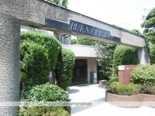 ブエナ ヴィスタの画像