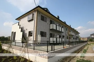 サニー ヴィオラの画像