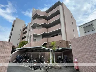 バウムドルフの画像