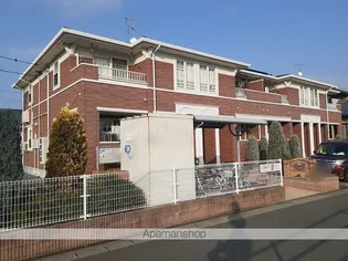 マリーゴールドの画像