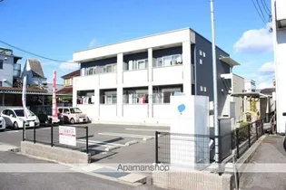 アンジュの画像