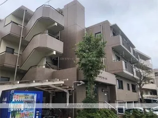 ノーザンライトの画像