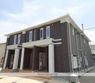 スターリースカイの画像