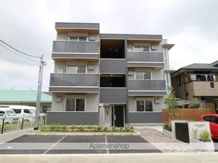 ジョリィ ルミエールの画像