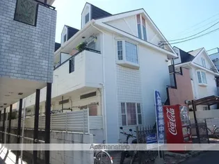 アチェロの画像