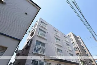 フェリス31の画像