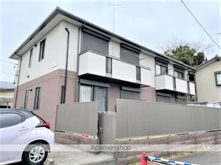 シャルムブライトの画像