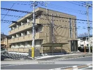 GEMINI ONNAの画像