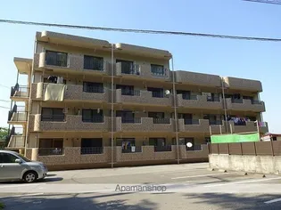 マリベールライツの画像