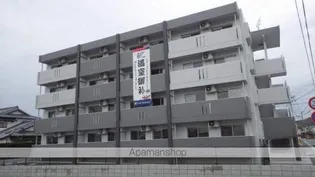 レインボースターの画像