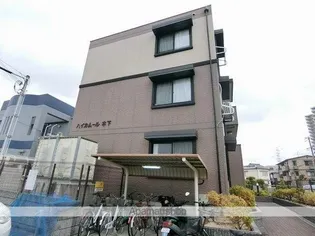 ハイカムール木下の画像