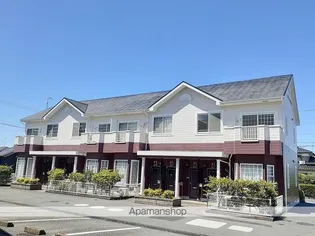 ヴィオレッテT UーDの画像