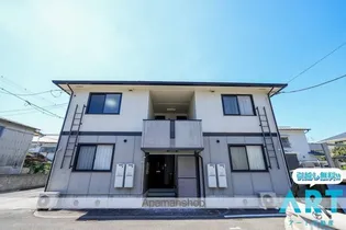 カーサカメリアの画像