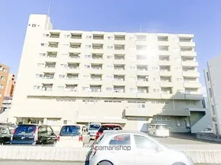 タウンヒルの画像